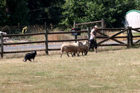 IMG_7886a