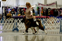 _MG_7736 (2)